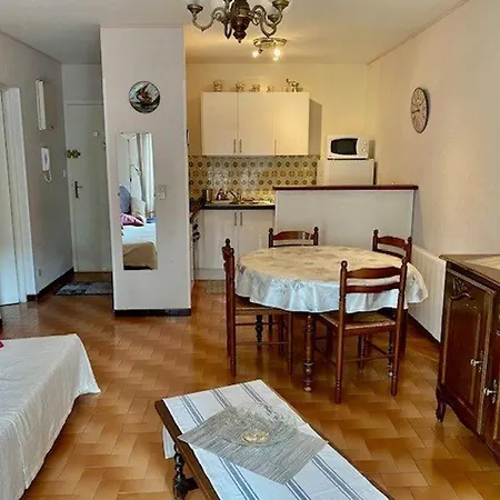 F2 Avec Balcon, Garage Et Climatisation - Proche Centre Et Cures - Animaux Bienvenus - Fr-1-703-179 * Amelie-les-Bains-Palalda