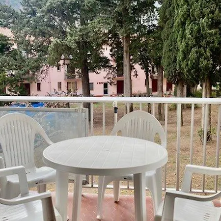 F2 Avec Balcon, Garage Et Climatisation - Proche Centre Et Cures - Animaux Bienvenus - Fr-1-703-179 *