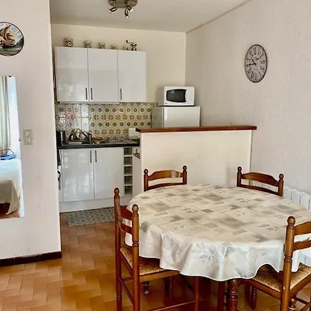 Apartment F2 Avec Balcon, Garage Et Climatisation - Proche Centre Et Cures - Animaux Bienvenus - Fr-1-703-179
